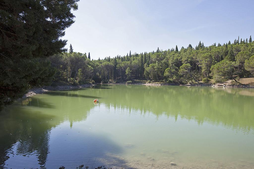 Agriturismo La Presura Страда Экстерьер фото